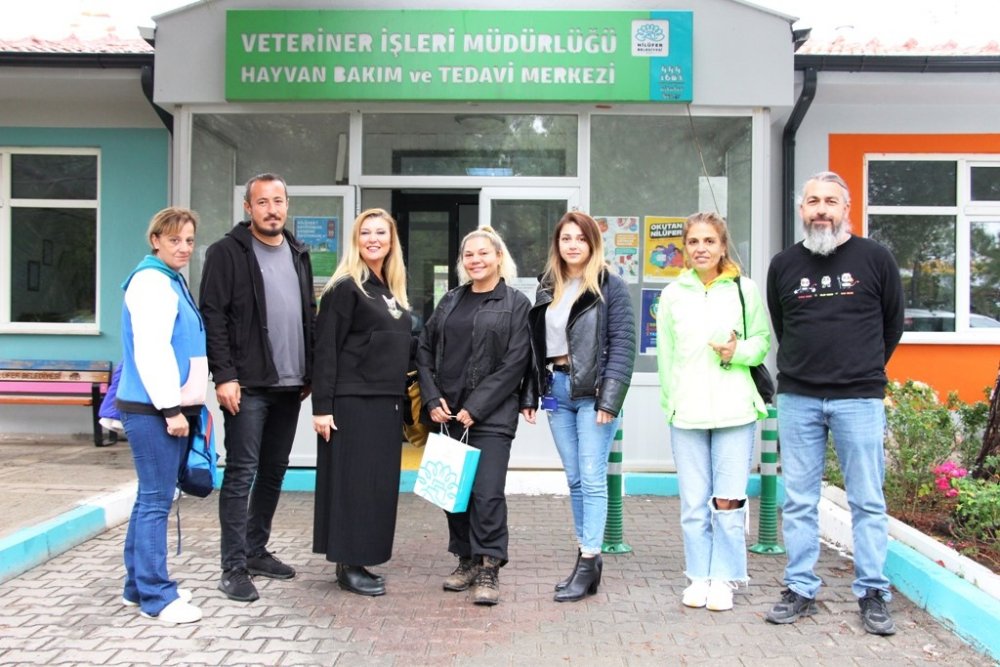 Sürü Halinde Dolaşan Sokak Köpeklerinden Korunma Tüyoları