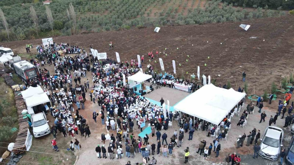 "Daha yeşil bir dünya” için fidan dikti