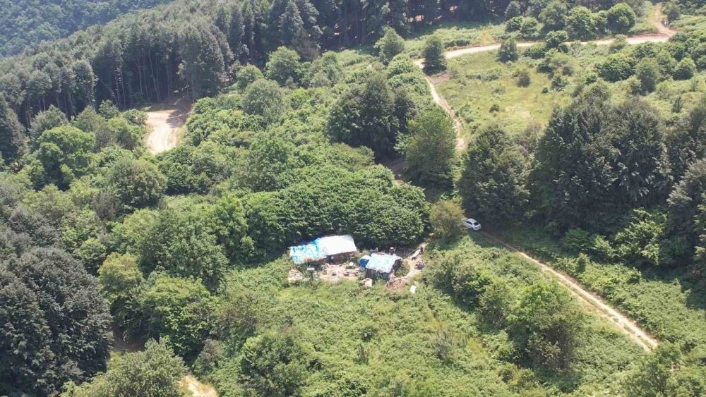 Dağ Başında Tek Başına Yaşıyor