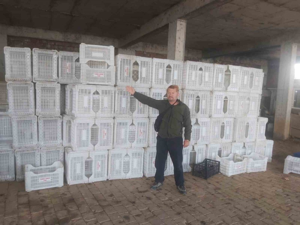 Tarım Kredi Zeytin Üreticisini Yüzüstü Bıraktı