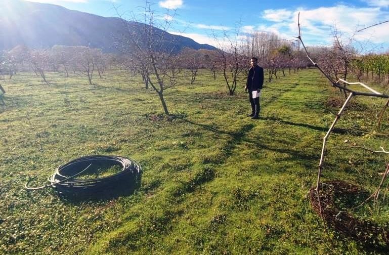 Tek Ve Çok Yıllık Ürünlerde Örnekleme Çalışması