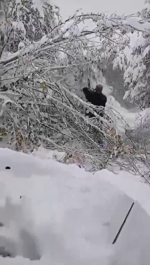 Ağaç elektrik direğinin üzerine devrildi, kesintiye yaşandı