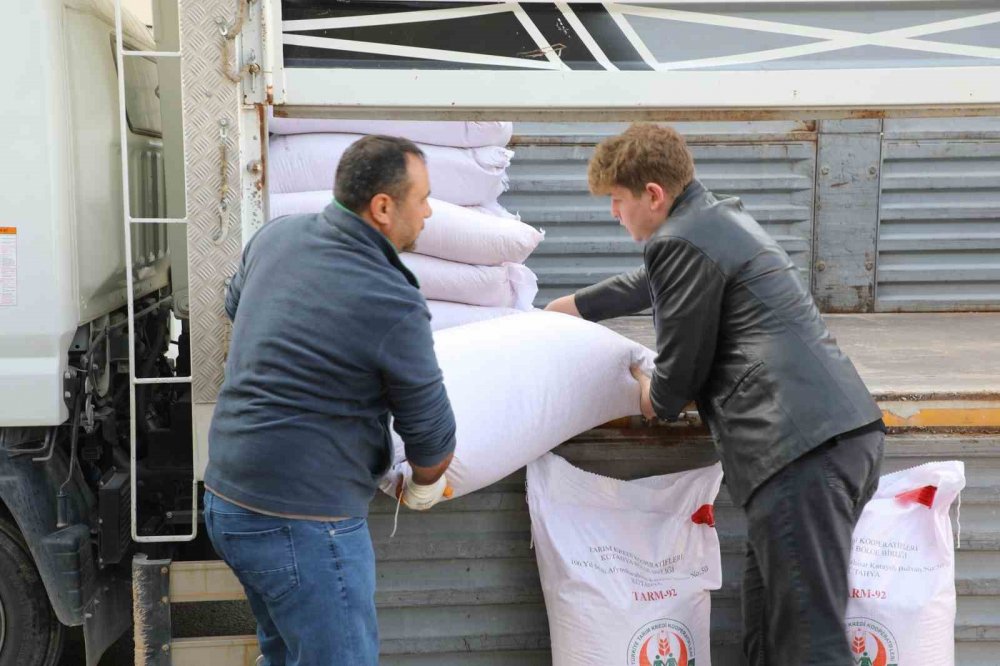 İlk Arpa Hasadını Gerçekleştiren Genç Çiftçiye Destek