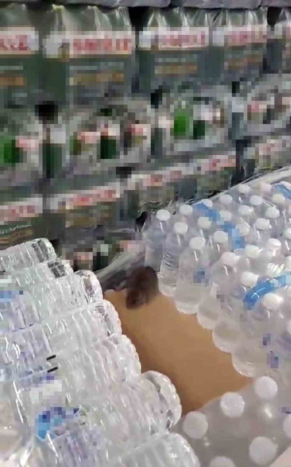 Bim’deki Fare Görüntüsünü Çeken Vatandaş Konuştu