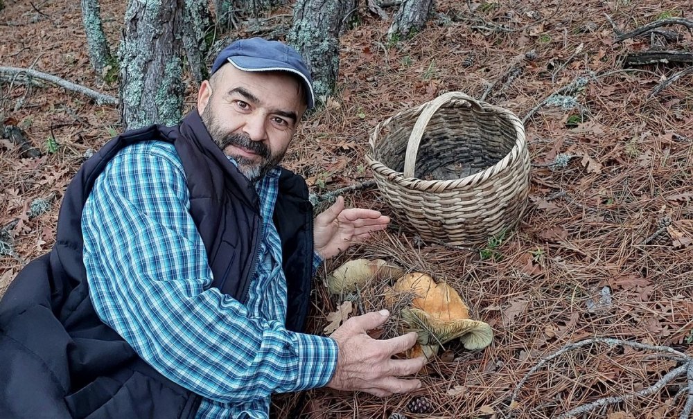 Dev Kanlıca Mantarı Hayrete Düşürdü