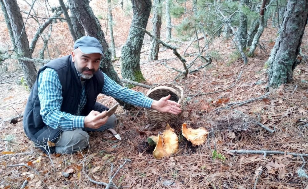 Dev Kanlıca Mantarı Hayrete Düşürdü