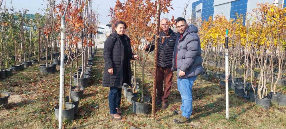Fide Ve Fidan Satış Yerleri Denetleniyor