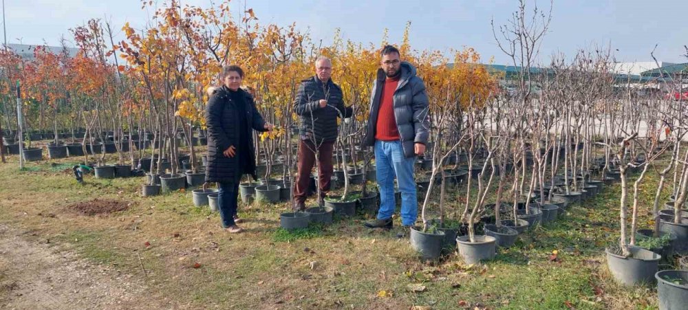 Fide Ve Fidan Satış Yerleri Denetleniyor