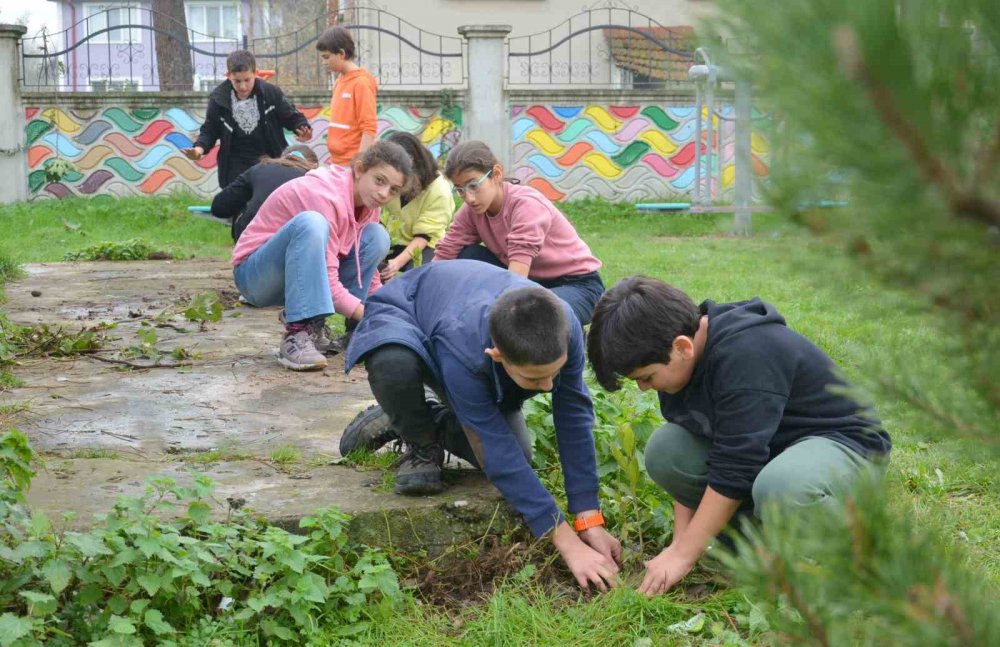 Öğrenciler Filistinli Şehit Çocuklar Anısına Fidan Dikti