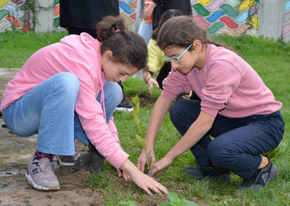 Öğrenciler Filistinli Şehit Çocuklar Anısına Fidan Dikti