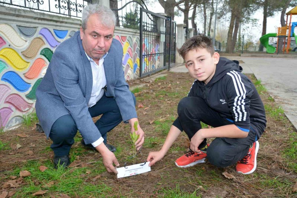 Öğrenciler Filistinli Şehit Çocuklar Anısına Fidan Dikti