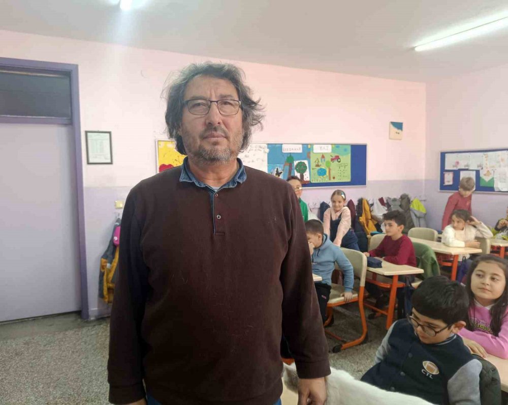 Okullu Kedi Çakıl 6 Yıldır Öğrencilerle Birlikte Derslere Giriyor