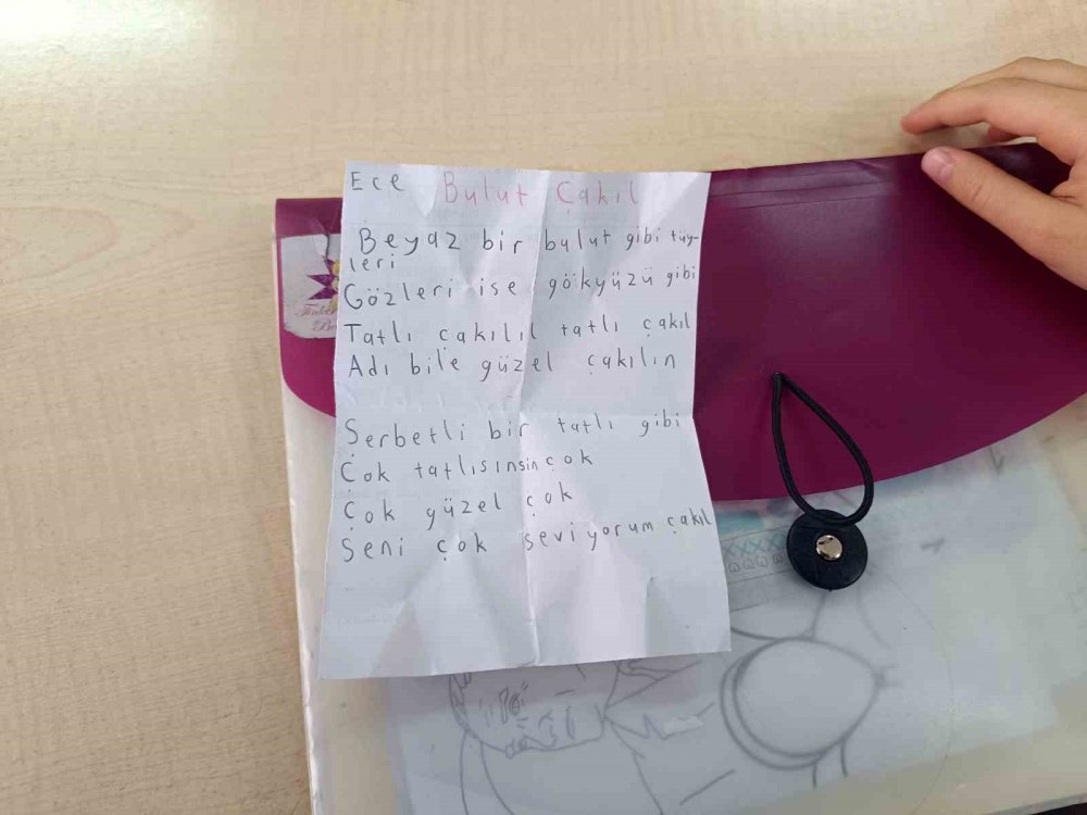 Okullu Kedi Çakıl 6 Yıldır Öğrencilerle Birlikte Derslere Giriyor