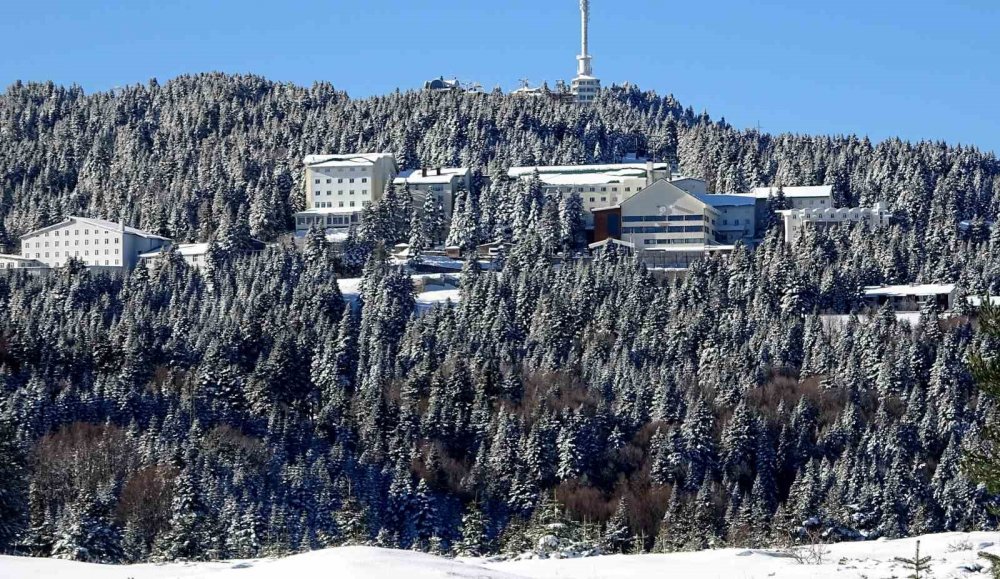 Uludağ’a Kar Yağdı, Orman Evleri’ne İlgi Arttı