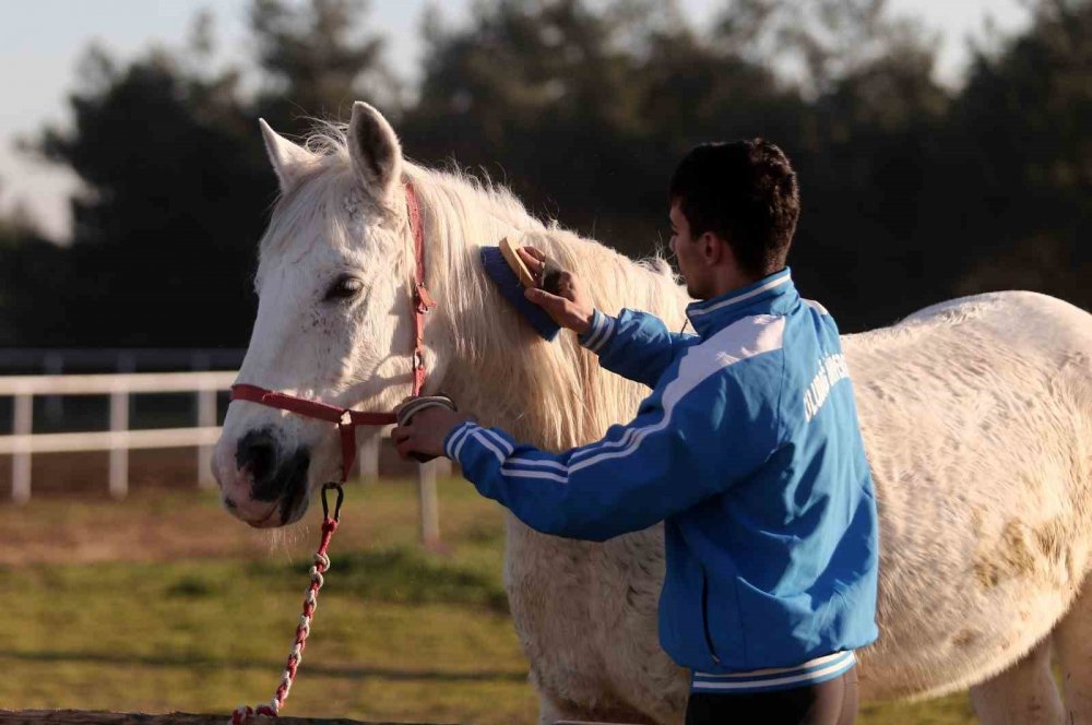 At Üzerinde Yaptığı Tehlikeli Hareketlerle Yürekleri Ağza Getiriyor