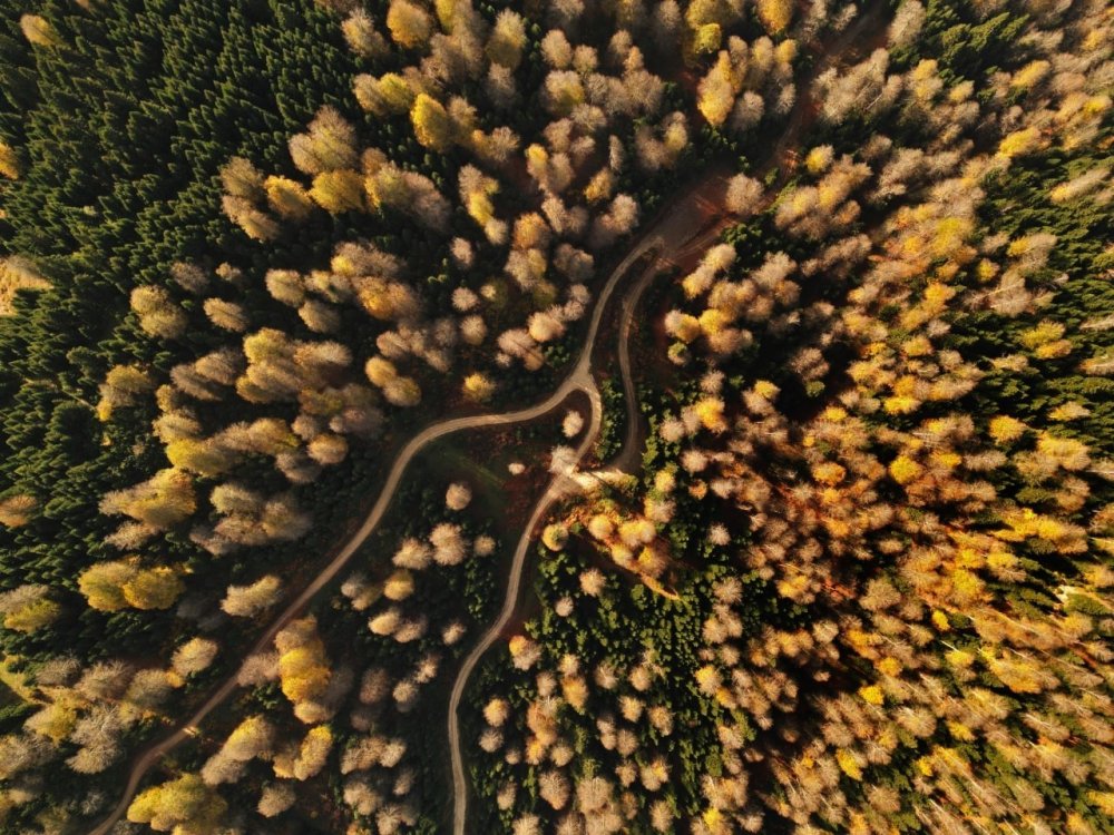Sakarya’da 2023 Yılı Böyle Geçti