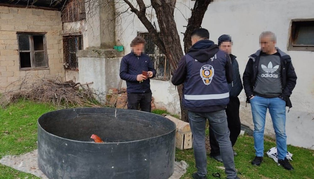 Horoz Dövüşüne Polis Baskını