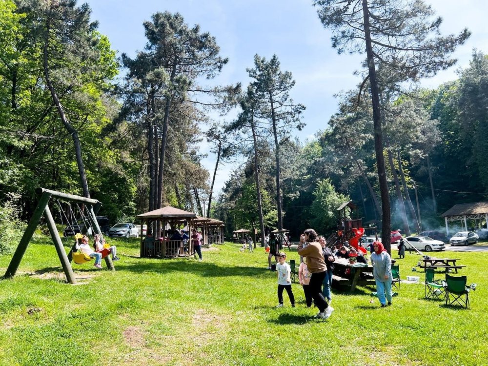 250 Bine Yakın Misafir Giriş Yaptı