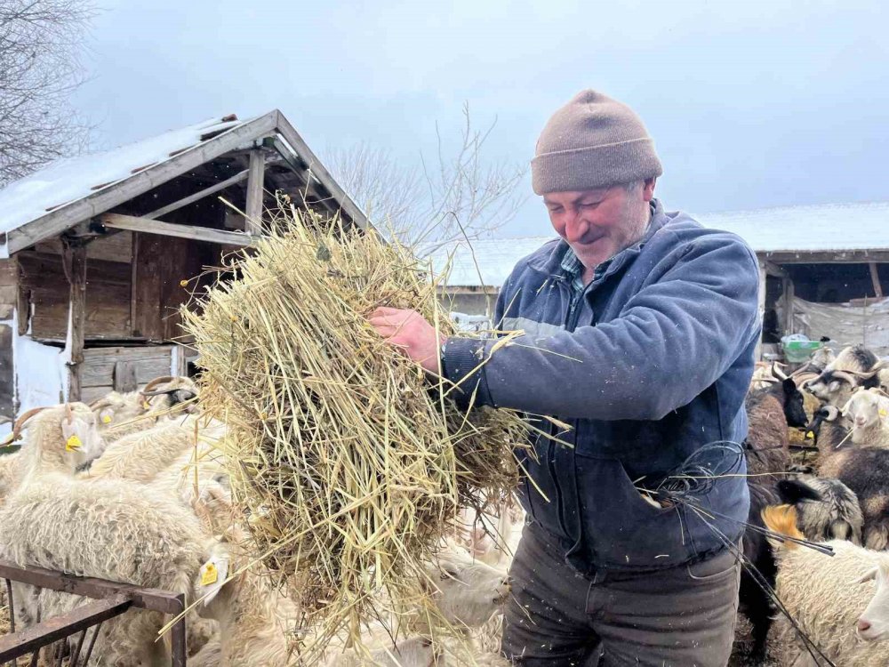 Yağan Kar Ve Ayazla Birlikte Besicilerin İşleri Güçleşti