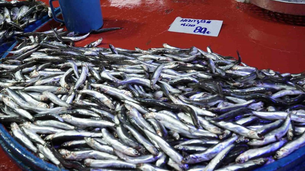 Hava Şartları Balık Fiyatlarını Etkiledi