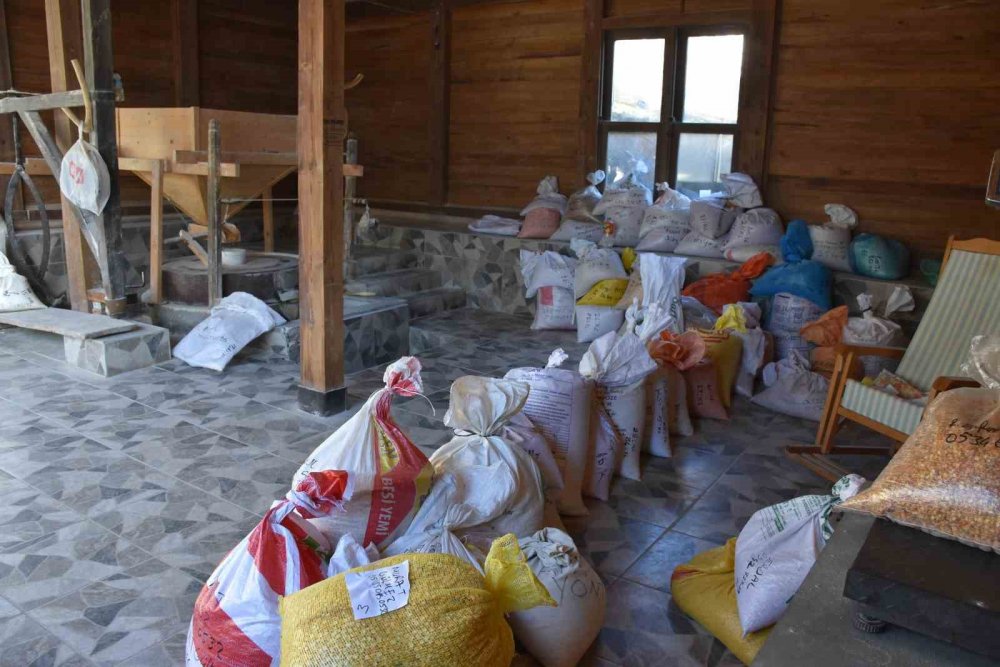 3 Asırdır Vatandaşa Un Öğüten Su Değirmeni Tarihe Tanıklık Ediyor