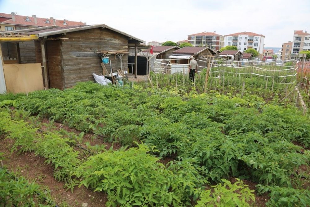 Hobi Bahçesi Başvuruları 17 Ocak’ta Başlıyor