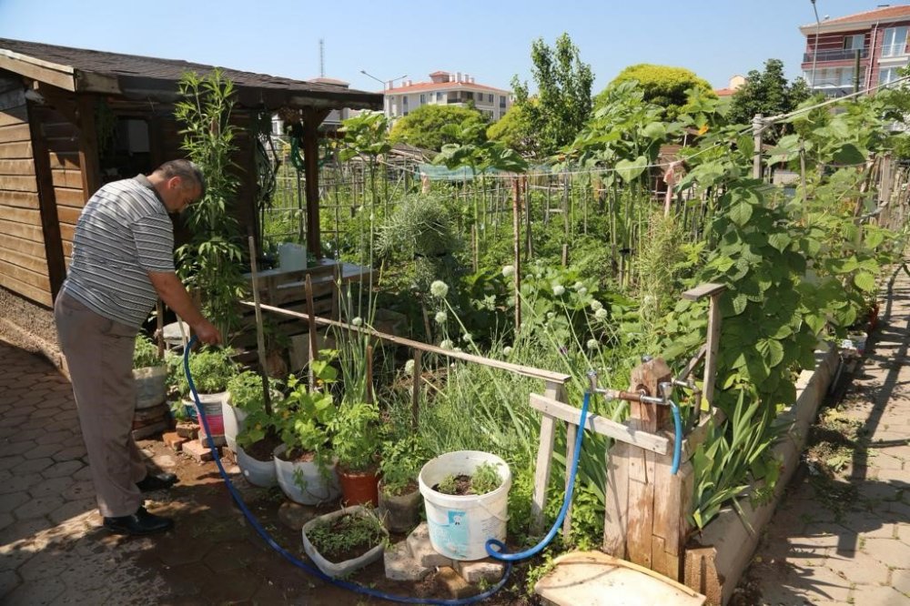 Hobi Bahçesi Başvuruları 17 Ocak’ta Başlıyor