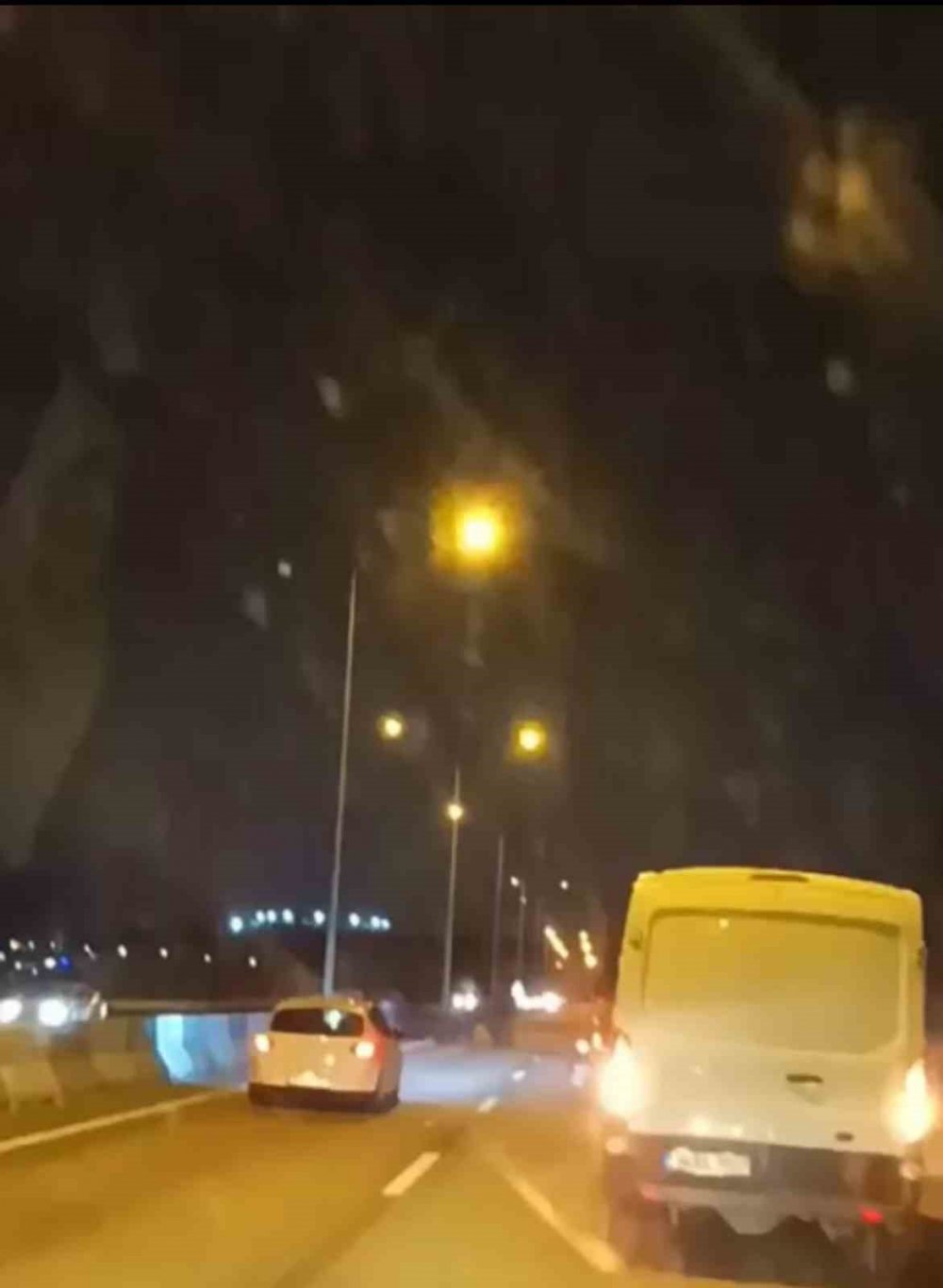 Domuz Sürüsü Ana Yola Atladı
