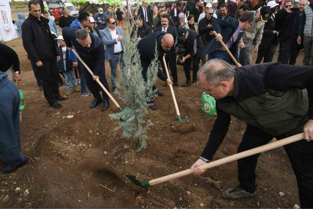 2023 Yılında 1 Milyon 264 Bin Fidan Dikti