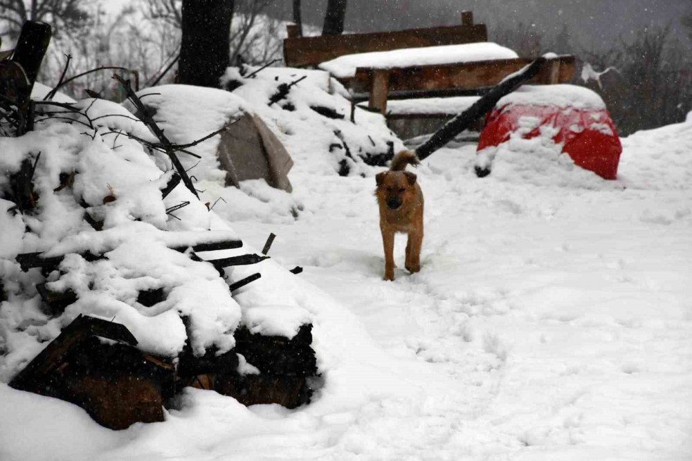 Kar Kalınlığı 45 Santimetreye Ulaştı