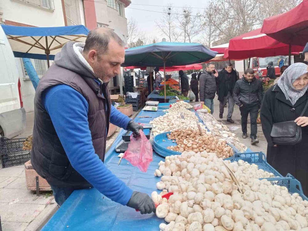 Vatandaşlar Çeşit Çeşit Mantarlara İlgi Gösteriyor