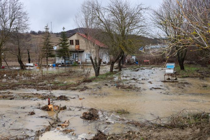 vali-aygolden-kurtkoyde-inceleme1.jpg