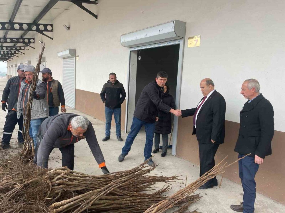 17 Çiftçiye 2040 adet ceviz fidanı dağıtıldı