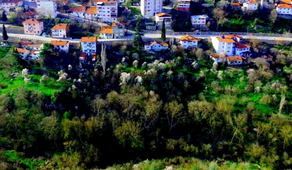 Bilecik’e bahar geldi