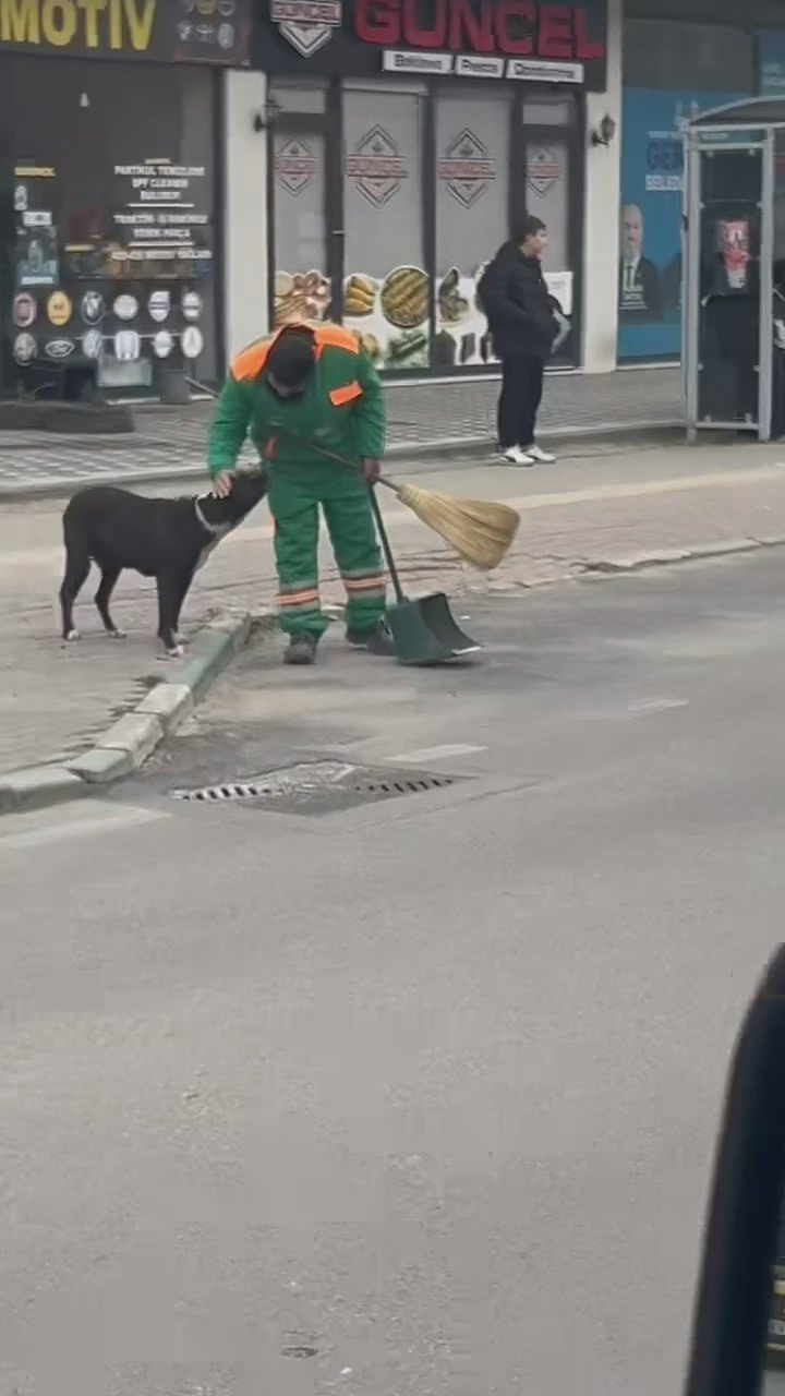 Sokak Köpeğinin Sırtını Süpürge İle Temizleyen Görevli Yüzleri Gülümsetti