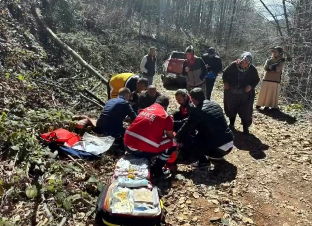 Yaylada Bacağını Kırarak Mahsur Kaldı
