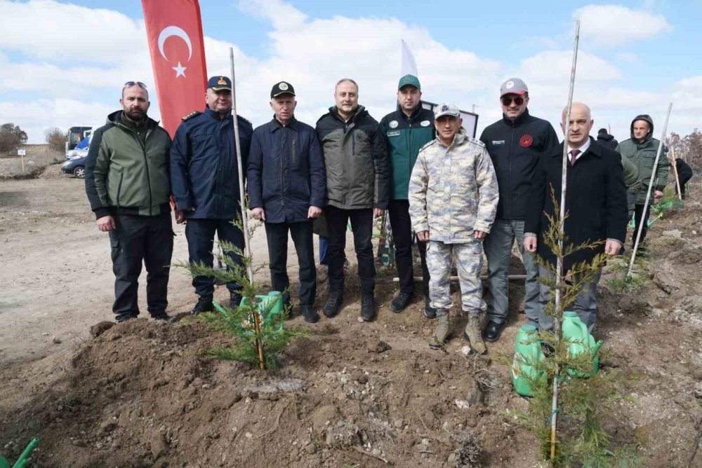 8 Bin Fidan Toprakla Buluştu