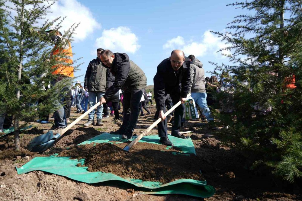 Dünya Ormancılık Günü’nde Çocuklar Bin Fidan Dikti