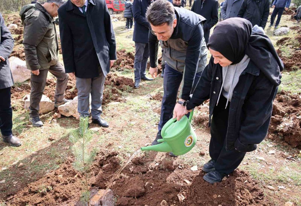 Doğanın Akciğeri Olan Ağaç Fidanları Toprakla Buluştu