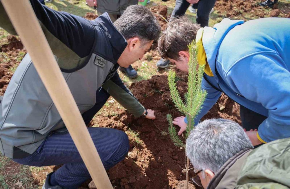 Doğanın Akciğeri Olan Ağaç Fidanları Toprakla Buluştu