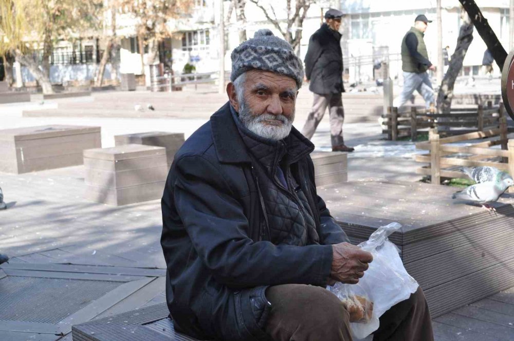 Sokaktaki Kuşları Yıllardır Büyük Bir Özenle Besliyor