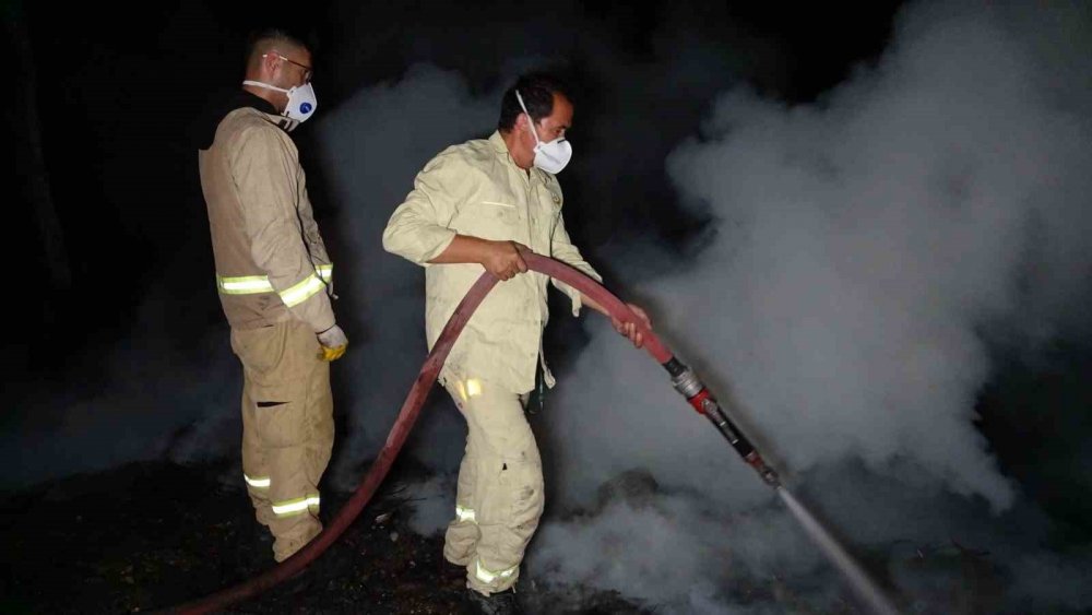 Ormanı Yakıp Mahkemede "Orman Sevdalısıyım" Diyen Sanığa 8 Yıl Hapis