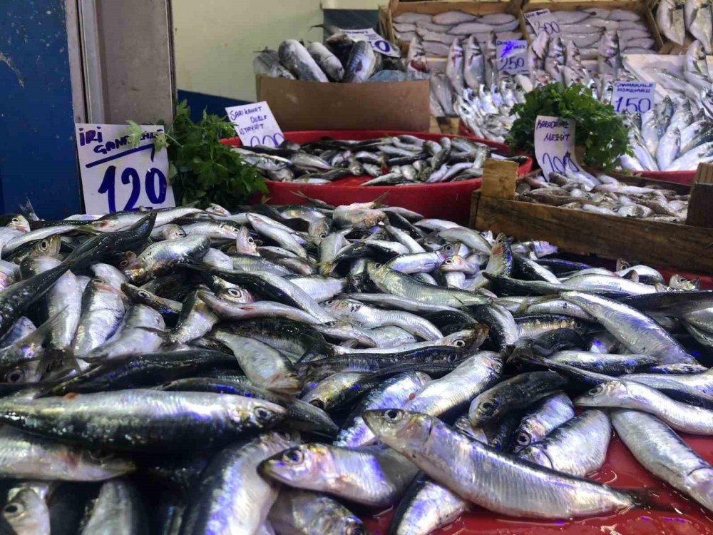 Bilecik’te Ramazan Sonrası Balıkçı Tezgahları Şenlendi