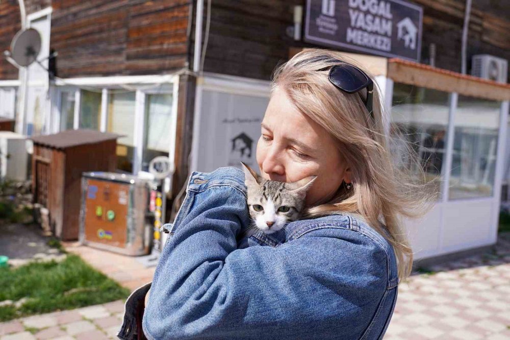 Dört ’can’ Daha Sıcak Yuvasına Kavuştu