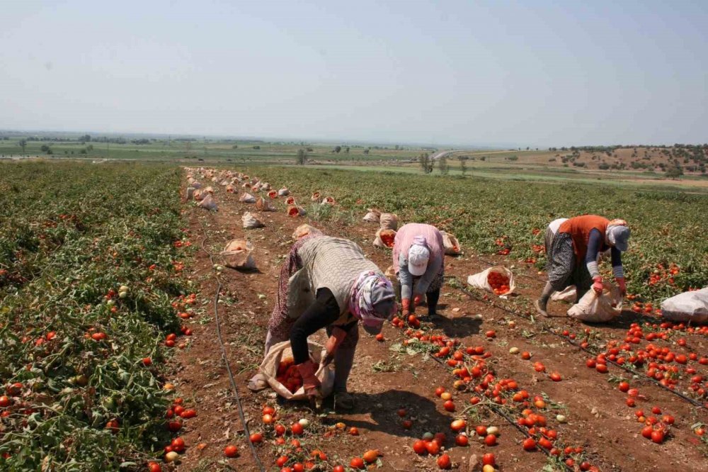 “Salça İhracatının Önü Açılmalı”