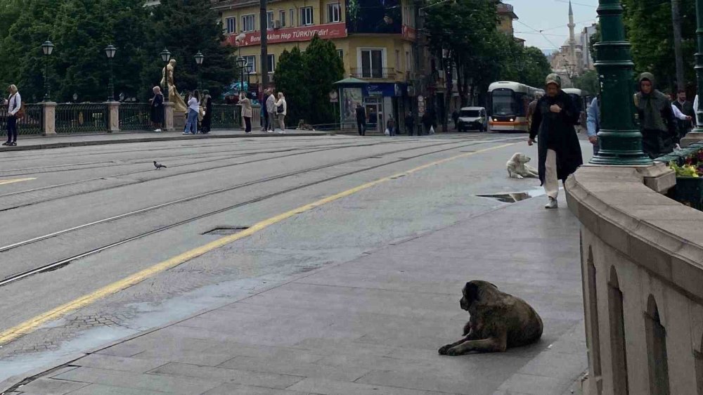 Sabah Yağan Yağmur Kent Merkezinin Boş Kalmasına Sebep Oldu