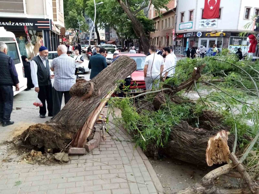 Seyir Halindeki Otomobilin Üzerine Ağaç Devrildi