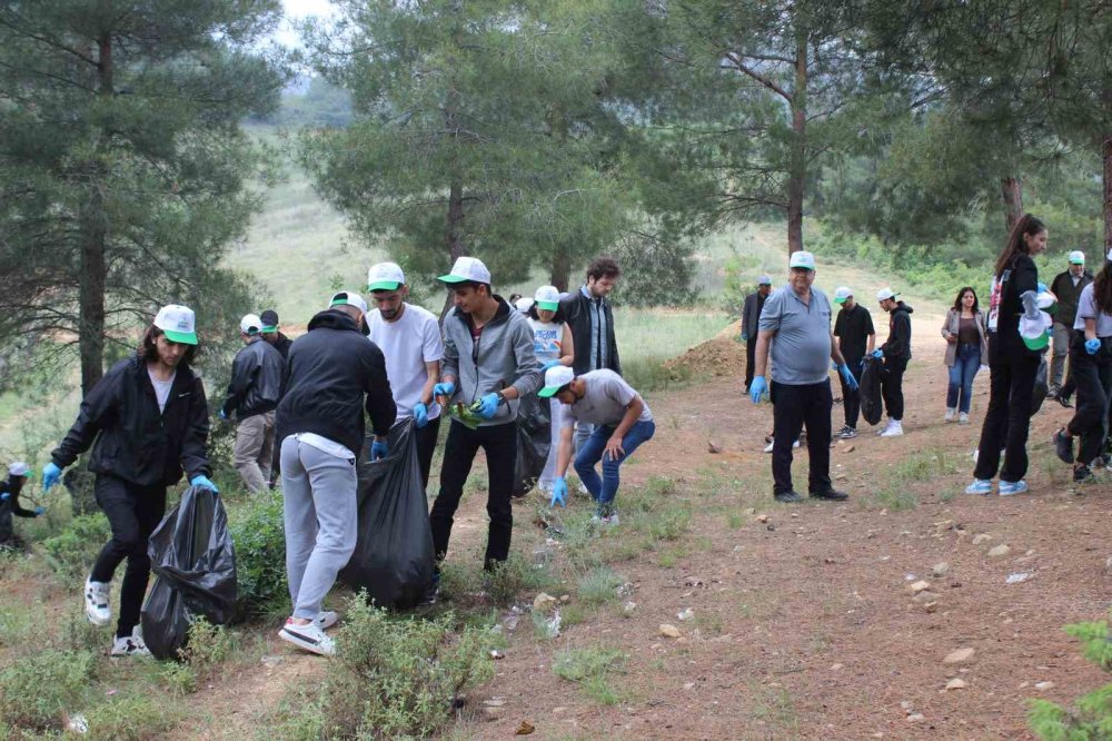 Ormanlık Alandan Poşet Poşet Çöp Çıktı