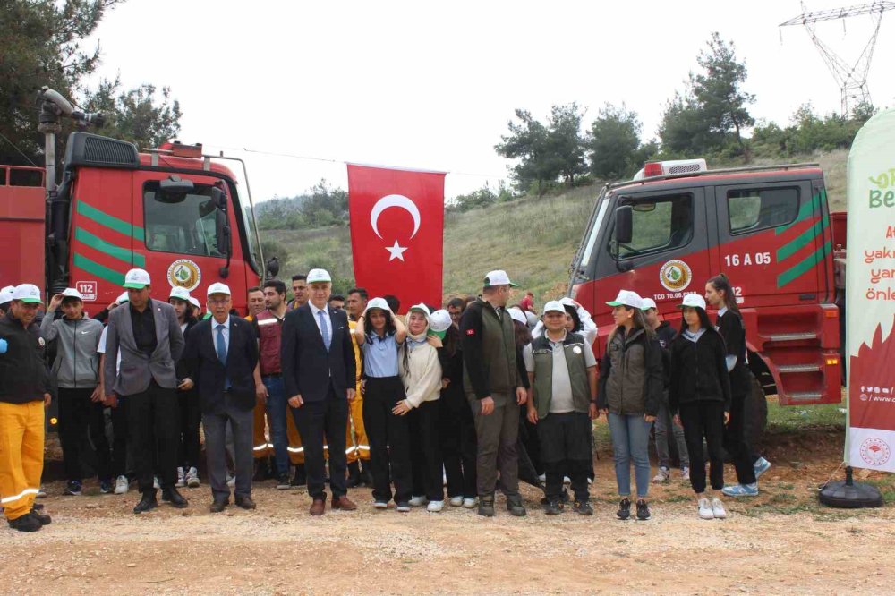 Ormanlık Alandan Poşet Poşet Çöp Çıktı