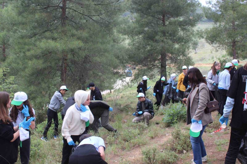 Ormanlık Alandan Poşet Poşet Çöp Çıktı